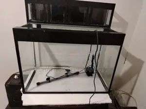 Fish Tank with Top Filter