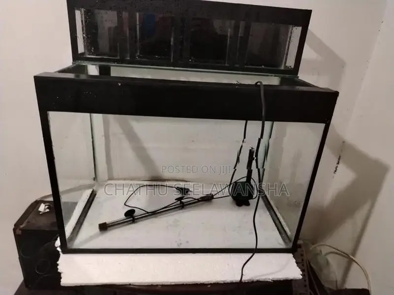 Fish Tank with Top Filter