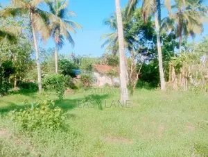 Land for Sale in Naththandiya