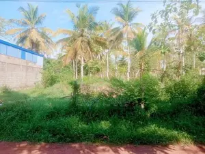 Land for Sale in Naththandiya