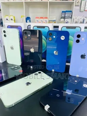 Apple iPhone 12 256GB (Used)