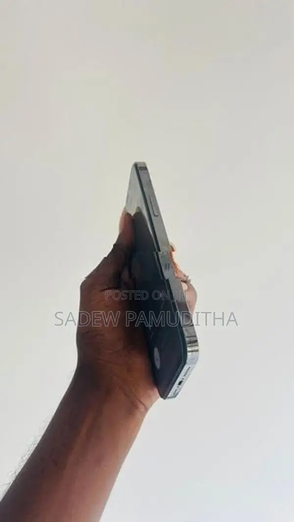 Apple iPhone 12 Pro Max 256GB (Used)