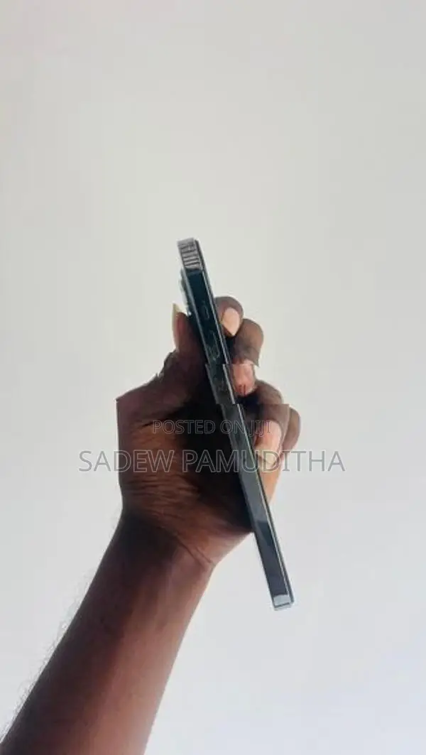Apple iPhone 12 Pro Max 256GB (Used)