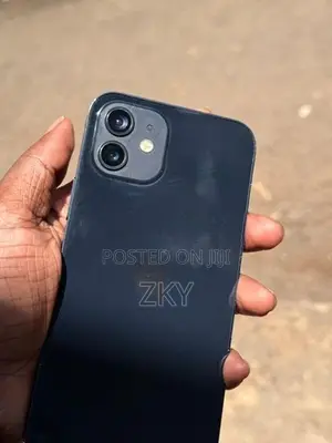 Apple iPhone 12 (Used)
