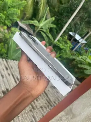 Apple iPhone 16 Pro Max 256GB (Used)