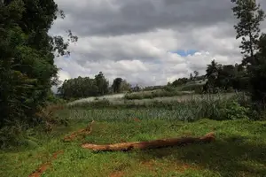 Hill Country Villa House for Sale Nugathalawa, Welimada