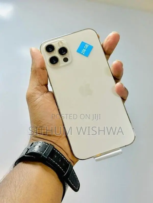 Apple iPhone 12 Pro 256GB (Used)