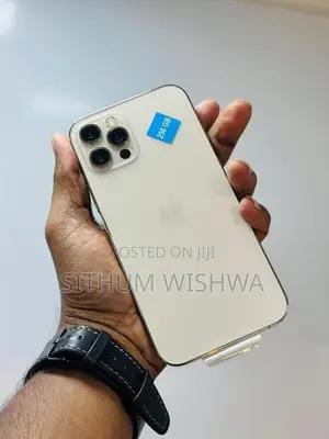 Apple iPhone 12 Pro 256GB (Used)
