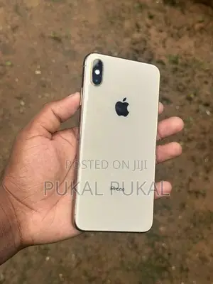 Apple iPhone XS Max (Used)