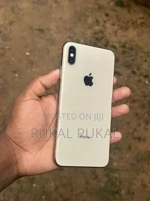 Apple iPhone XS Max (Used)