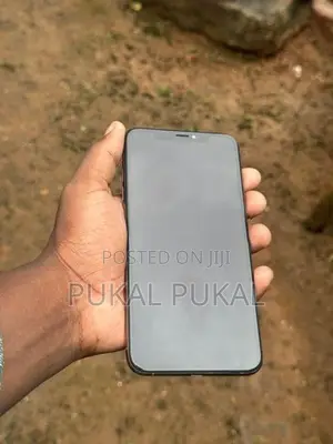 Apple iPhone XS Max (Used)
