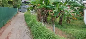 Top Land for Sale Pannipitiya