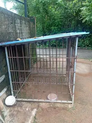 Dog Cage