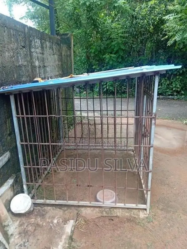 Dog Cage