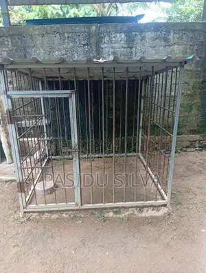 Dog Cage