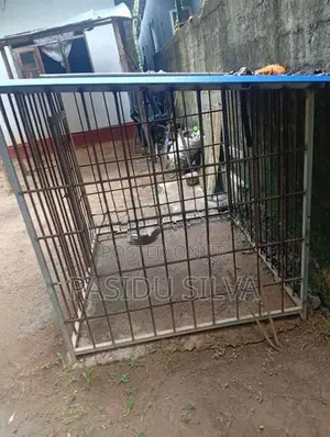 Dog Cage