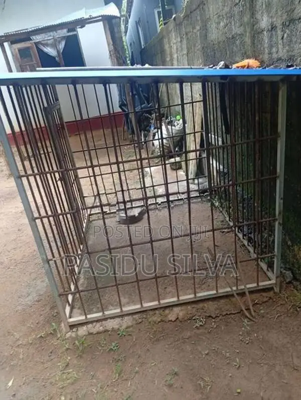 Dog Cage
