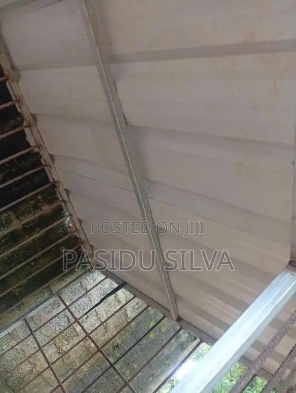Dog Cage