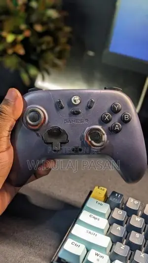 GameSir T4 Nova Lite Wireless Controller