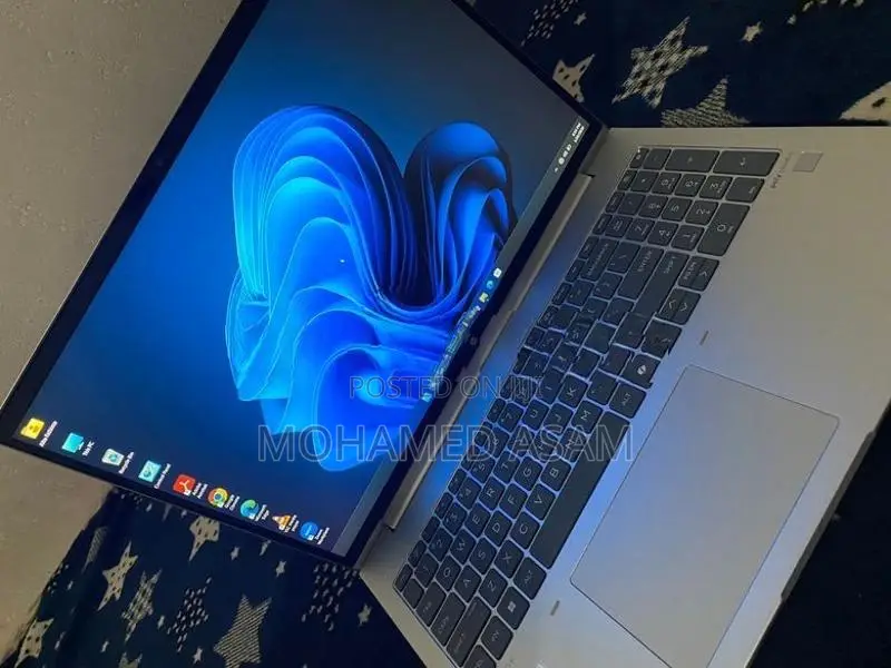 HP Probook 460 G11 Laptop