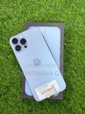 Apple iPhone 13 Pro Max 1TB (Used)