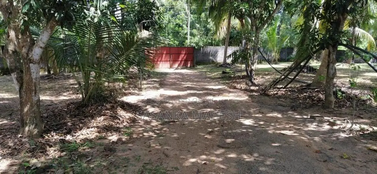 Coconut Land for Sale in Narammala Matiyagane