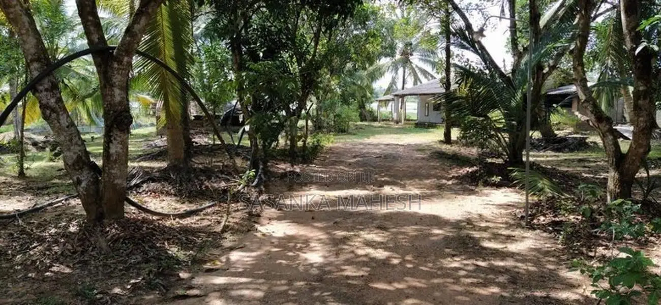 Coconut Land for Sale in Narammala Matiyagane