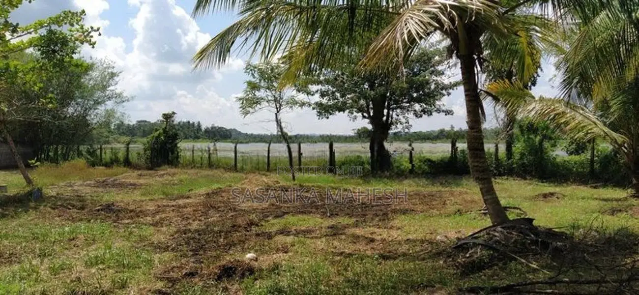 Coconut Land for Sale in Narammala Matiyagane