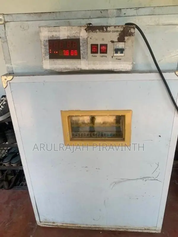 Automatic incubator
