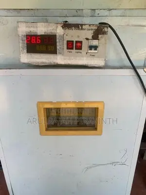 Automatic incubator