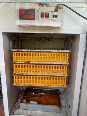 Automatic incubator