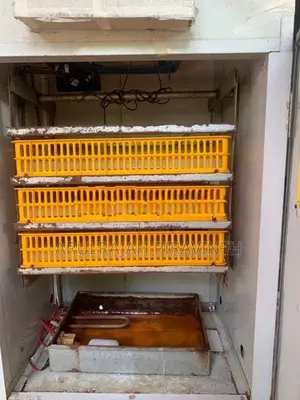 Automatic incubator