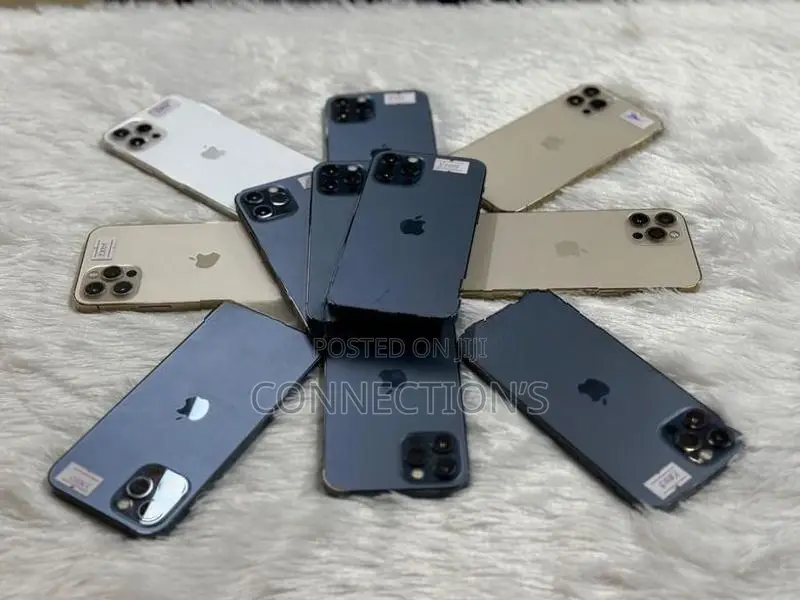 Apple iPhone 12 Pro Max 256GB (Used)