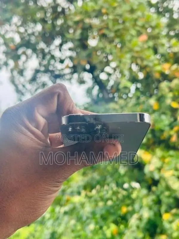Apple iPhone 13 Pro (Used)