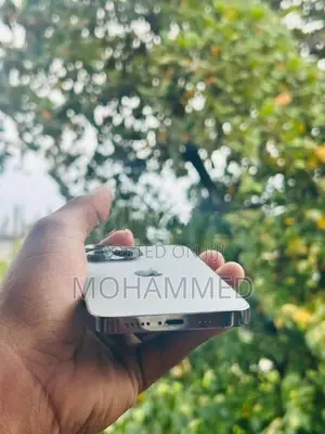 Apple iPhone 13 Pro (Used)