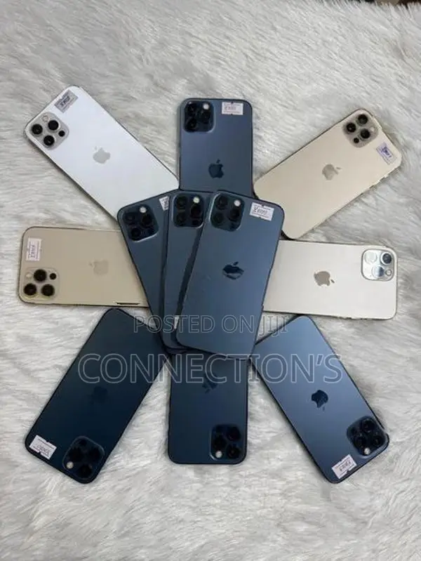Apple iPhone 12 Pro Max 256GB (Used)
