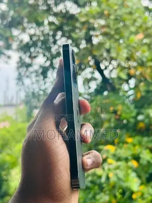 Apple iPhone 13 Pro (Used)