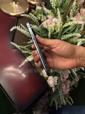 Google Pixel 10 Pro (Used)