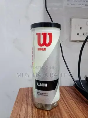 Wilson Cricket Balls