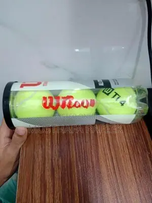 Wilson Cricket Balls