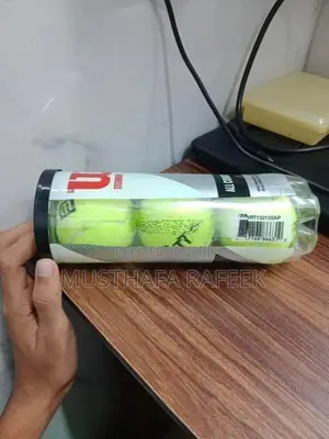 Wilson Cricket Balls