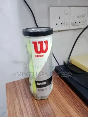 Wilson Cricket Balls