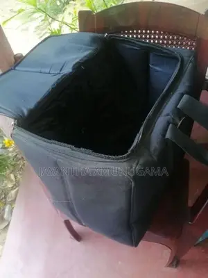 එකෝඩියන්