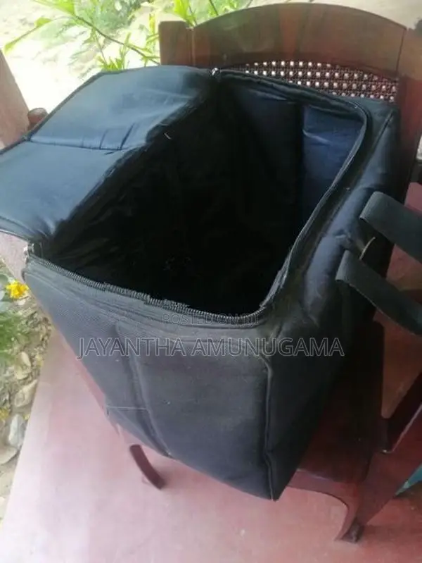 එකෝඩියන්