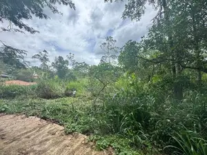 Land for Sale Bandarawela