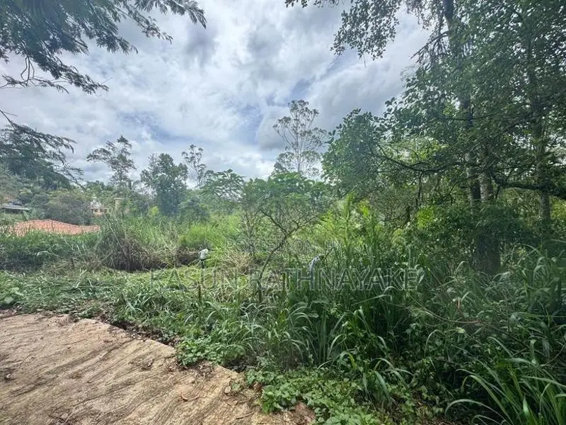Land for Sale Bandarawela