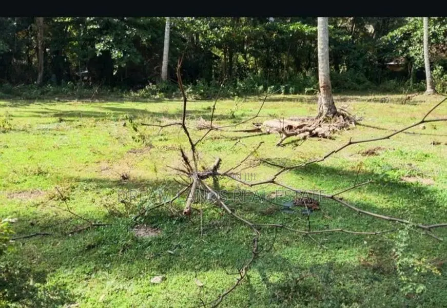 ☆ Hikkaduwa Kahawa Historyc Land for Sale ( RLS - 709)