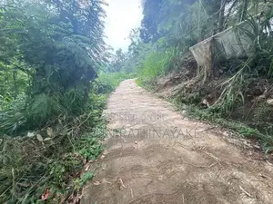Land for Sale Bandarawela