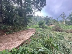 Land for Sale Bandarawela