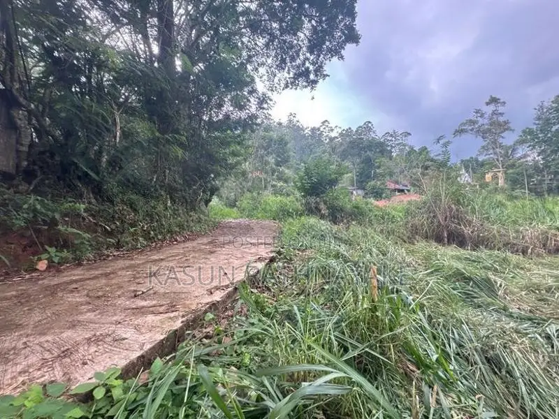 Land for Sale Bandarawela